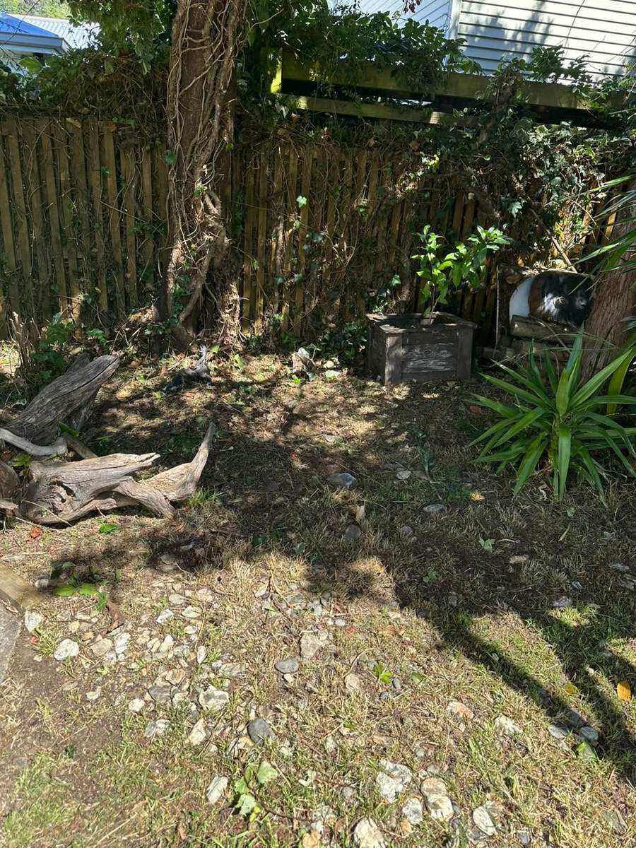 Garden corner before a tidy-up