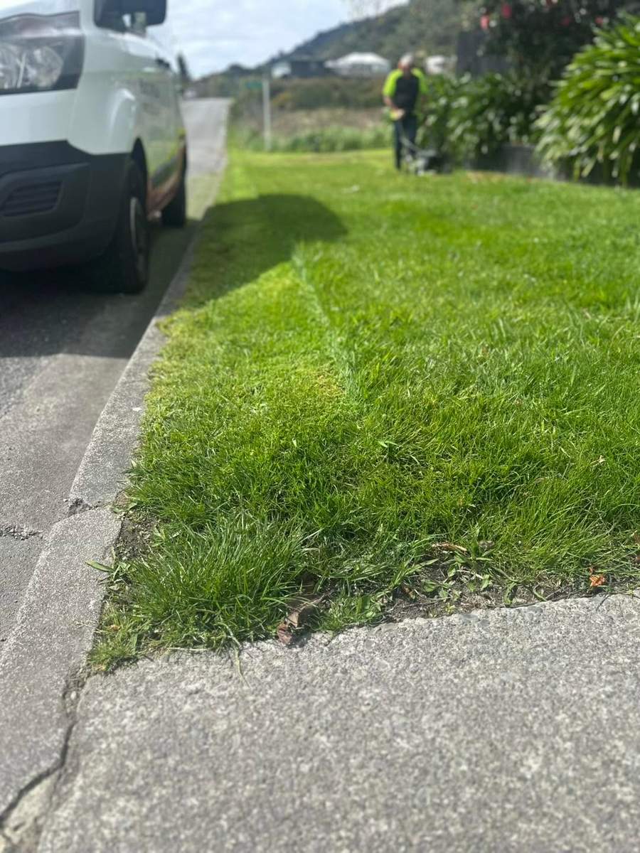 Mowed lawn edge with the service van in the background
