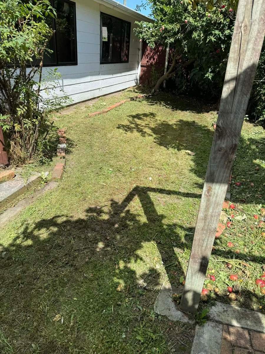 Neatly mowed side yard path