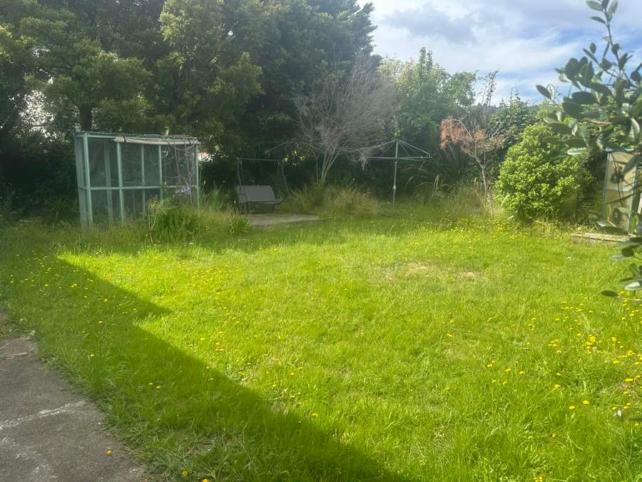 Overgrown backyard with a swing set before mowing