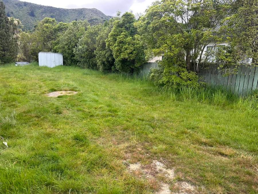 Overgrown lawn with shed and hills behind, before mowing