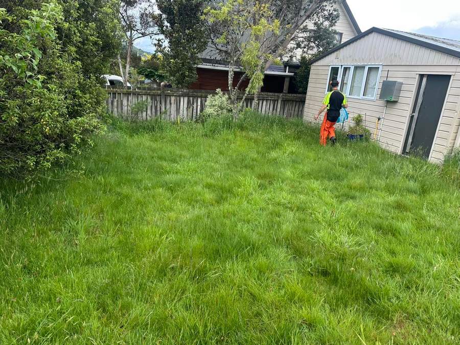 Team member heading into an overgrown yard to start work